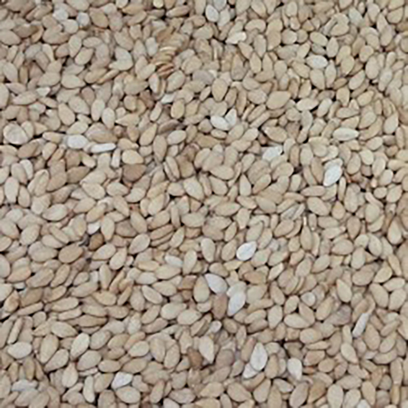 SÉSAMO TOSTADO BANDEJA 100GR